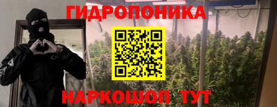 ECSTASY Будённовск