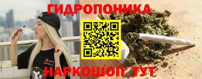 ECSTASY Будённовск