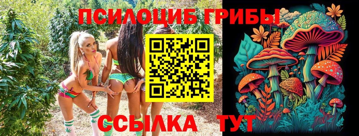 Псилоцибиновые грибы MAGIC MUSHROOMS Обь